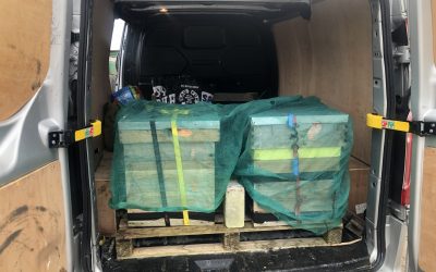 How do you move a honeybee colony?