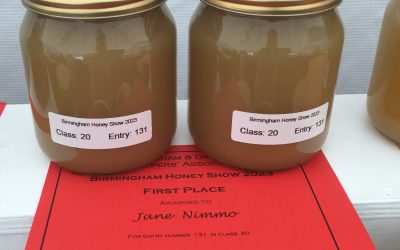 Buzzing with success